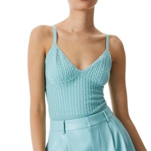 New Alice and Olivia Kenna cropped top